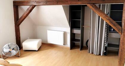 Cosy gĂźte in renovated farmhouse. Spacious bedroom + living room. Pets allowed