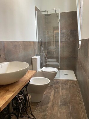 Shower, hair dryer, bidet, towels