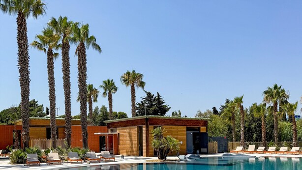 Una piscina con sillas de descanso y palmeras.