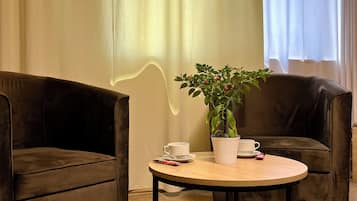 Tomannsrom – standard, ikke-røyk, byutsikt | Skrivebord, lydisolert, strykejern/-brett og wi-fi (inkludert)