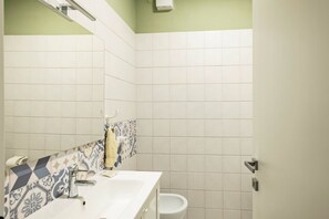 Shower, hair dryer, bidet, towels