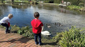 Miscellaneous - Sleek, smart, and steps from Historic High Street (Odiham)