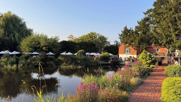 Property grounds - Warm & Stylish Cottage in Historic Odiham (Odiham)