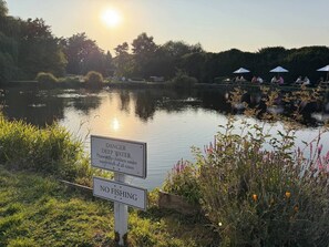 Miscellaneous - Sleek, smart, and steps from Historic High Street (Odiham)