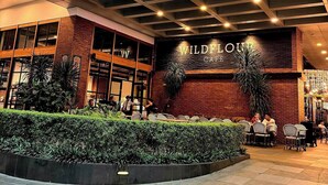 The exterior of Wild Flower Café with a modern architectural design, featuring a glass facade and a well-lit outdoor seating area.
