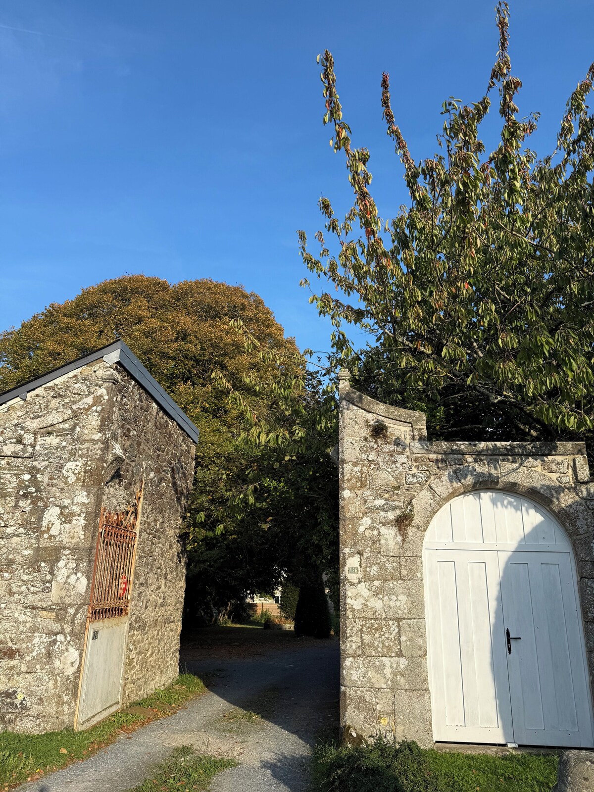 オーナーのプロフィール画像