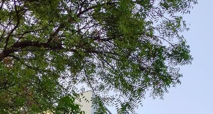 VARSHA ENCLAVE TRINITY HOUSE