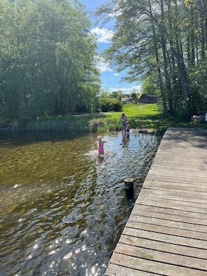 A wooden dock extending into a body of water, surrounded by greenery and a clear sky. - Holiday Home 'Seeadler Am Dümmer' with Lake View, Private Terrace and Wi-Fi (Dümmer)