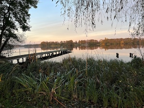 A wooden pier extending over a calm lake, surrounded by dense reeds and trees. - Holiday Home 'Seeadler Am Dümmer' with Lake View, Private Terrace and Wi-Fi (Dümmer)