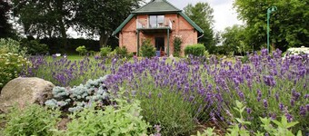 Casa vacacional 'Seeadler Am Dümmer' con vistas al lago, terraza privada y Wi-Fi