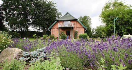 Maison de vacances « Seeadler Am DĂŒmmer » avec vue sur le lac, terrasse privĂ©e et Wi-Fi