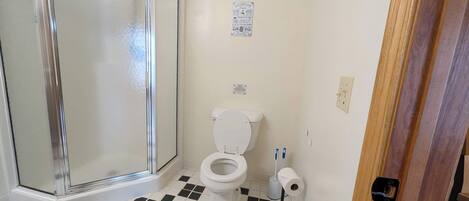 A bathroom with a toilet, a shower, and a toilet paper holder.