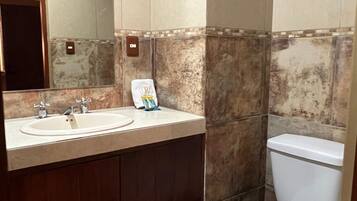 Shower, towels, soap, toilet paper