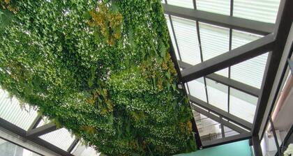 Nimman Nest Hostel & Cafe