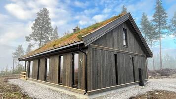 Cabin, 3 Bedrooms, Balcony, Mountain View | Exterior