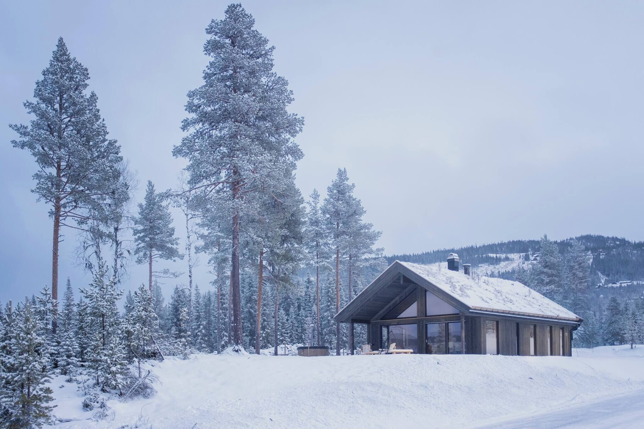 Cabin, 3 Bedrooms, Balcony, Mountain View | Exterior