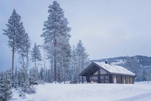 Cabin, 3 Bedrooms, Balcony, Mountain View | Exterior