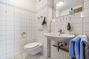 Shower, hair dryer, towels - Apartment 'Brünnstein - Nr 5' with Mountain View, Shared Pool and Sauna (Oberaudorf)