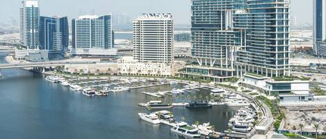 豪華公寓, 2 間臥室, 湖景 | 客房景觀