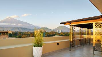 テラス / パティオ