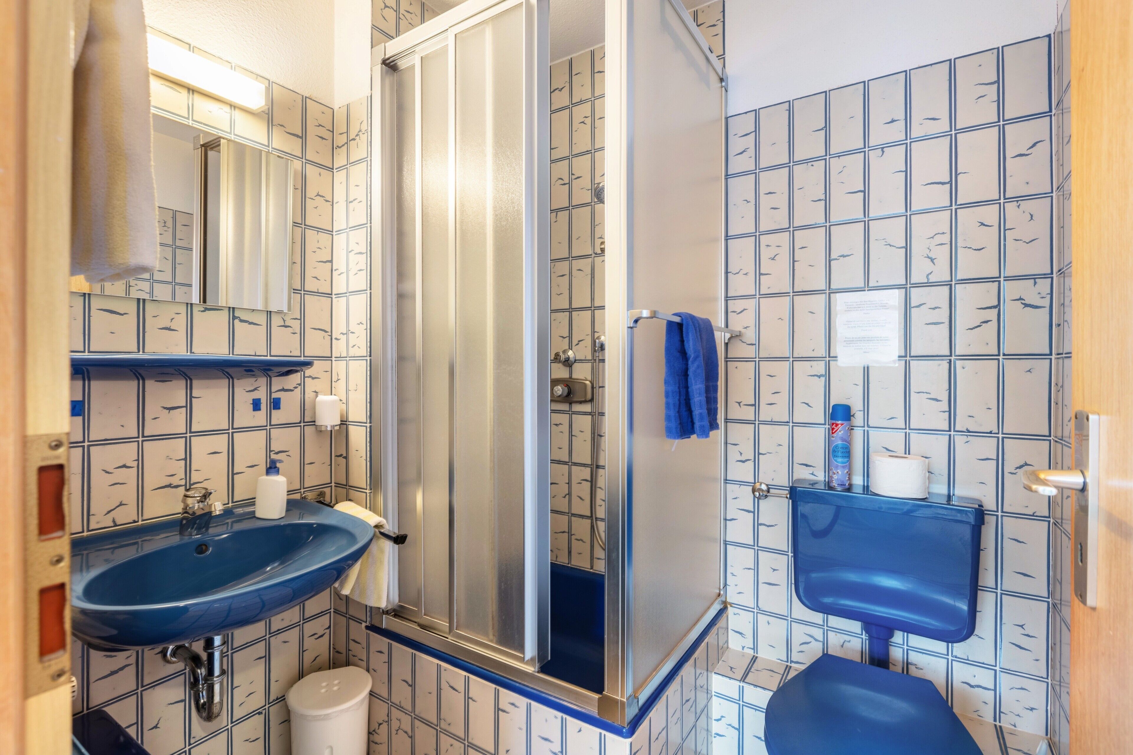 Een badkamer met een blauwe wastafel, een douchecabine en een toilet.