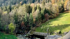 A mountainous landscape with a stream, dense forest, and a clear sky. - Double Room No. 4 with Mountain View, Shared Terrace and Wi-Fi (Dachsberg (Südschwarzwald))