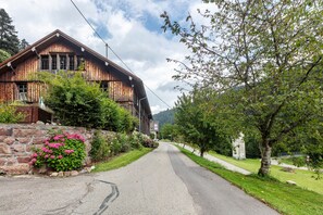 Miscellaneous - Double Room No. 4 with Mountain View, Shared Terrace and Wi-Fi (Dachsberg (Südschwarzwald))