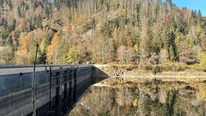 Un lac paisible où se reflètent les arbres et une structure en béton.
