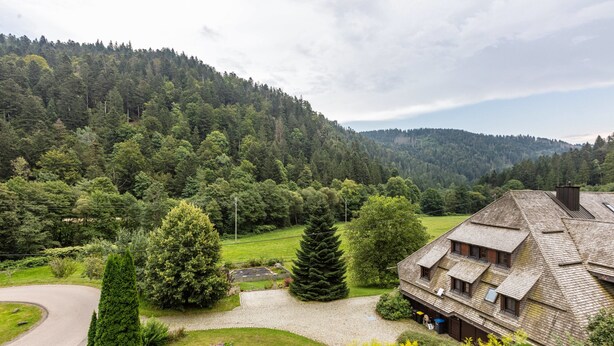 Une maison traditionnelle en bois, dotée d’un toit à pente, entourée d’un jardin bien entretenu et située au pied d’une colline boisée.