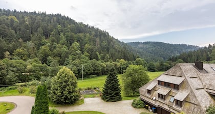 Chambre double n° 6 avec terrasse commune, jardin commun et Wi-Fi