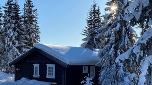 Unclassified image, 5 of 37, button - Mountain Lodge With Sauna, by Damtjernet (Nord-Aurdal)