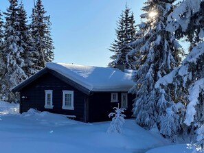 Cabin, 4 Bedrooms, Patio, Mountain View | Exterior - Mountain Lodge With Sauna, by Damtjernet (Nord-Aurdal)