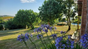 المنطقة المحيطة بالمنشأة