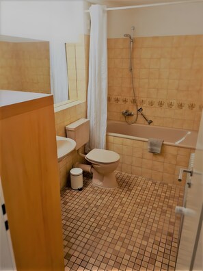 Shower, hair dryer, towels - Apartment '3' with Shared Terrace, Balcony and Wi-Fi (Weil am Rhein)