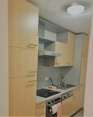 Fridge, microwave, oven, stovetop - Apartment '3' with Shared Terrace, Balcony and Wi-Fi (Weil am Rhein)