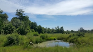 A natural landscape with a pond, dense greenery, and trees. - Apartment '1' with Shared Terrace, Balcony and Wi-Fi (Weil am Rhein)