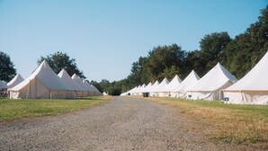A row of white tents with a gravel path leading through them, surrounded by trees.