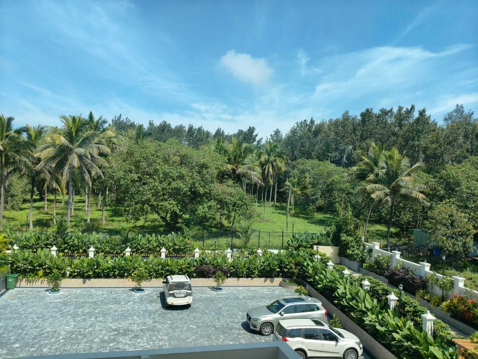 Executive Room | View from room