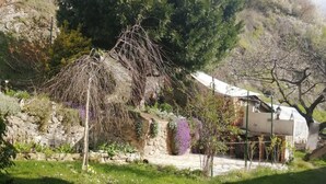 A garden with a stone wall, a wooden pergola, and a house in the background.