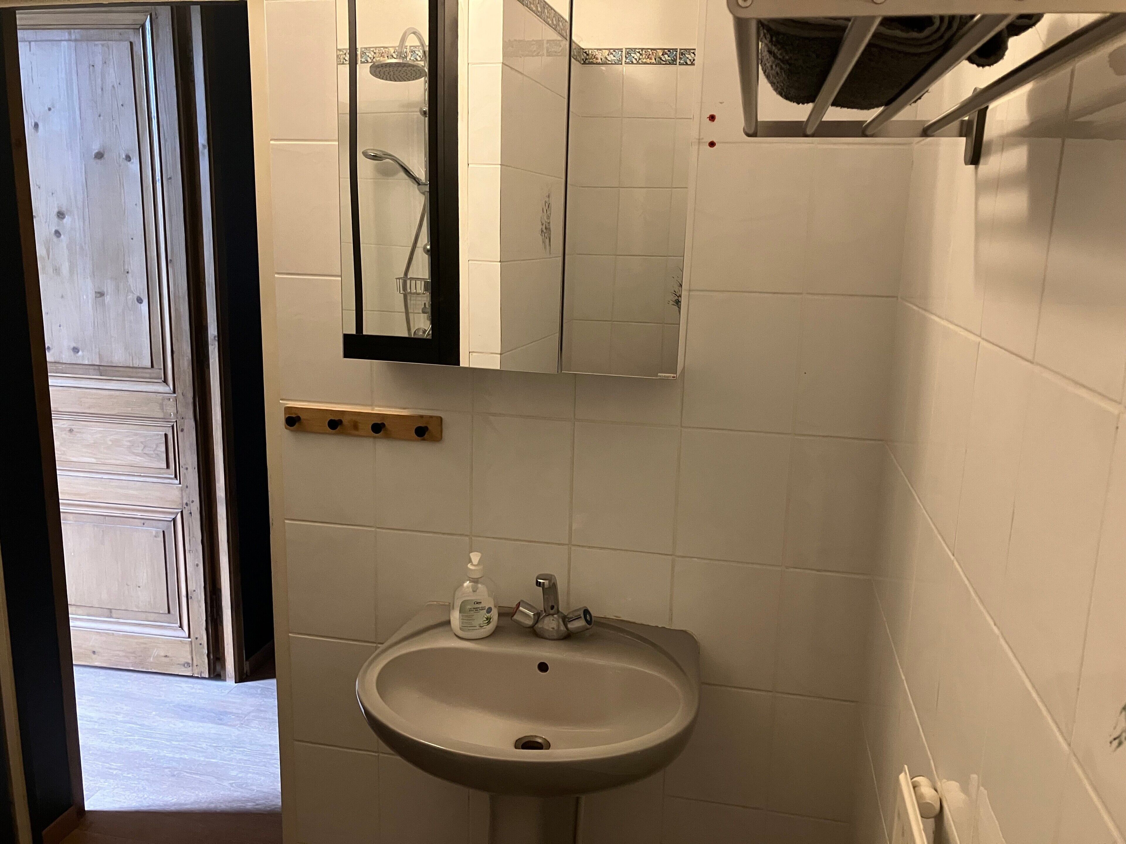 A bathroom with a sink, mirror, and shower.
