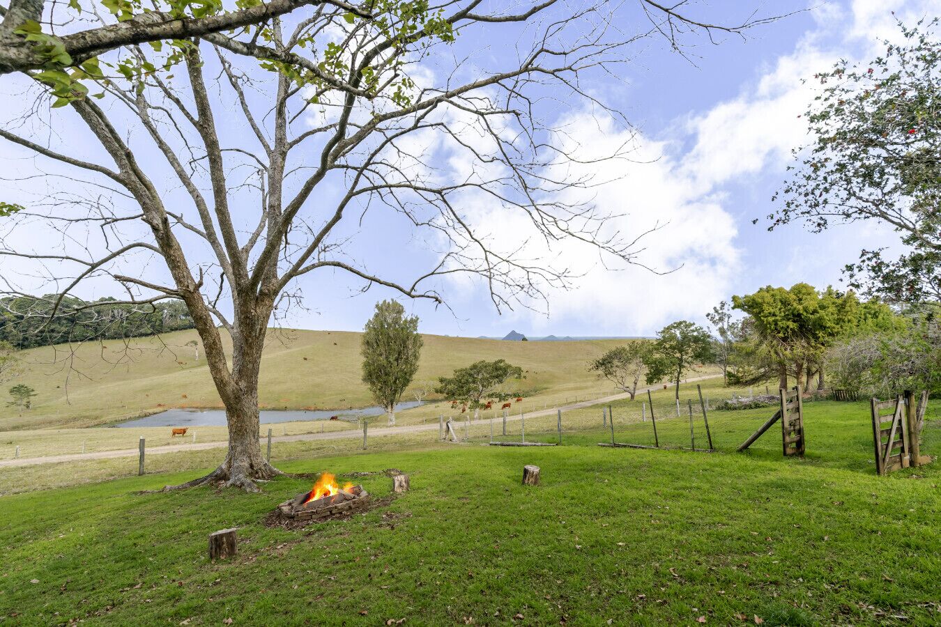 Fire pit with a view