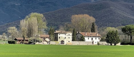 Ulkopuoli