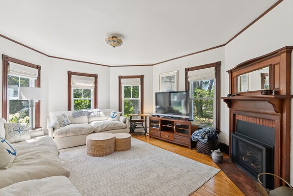 Smart TV, fireplace, books