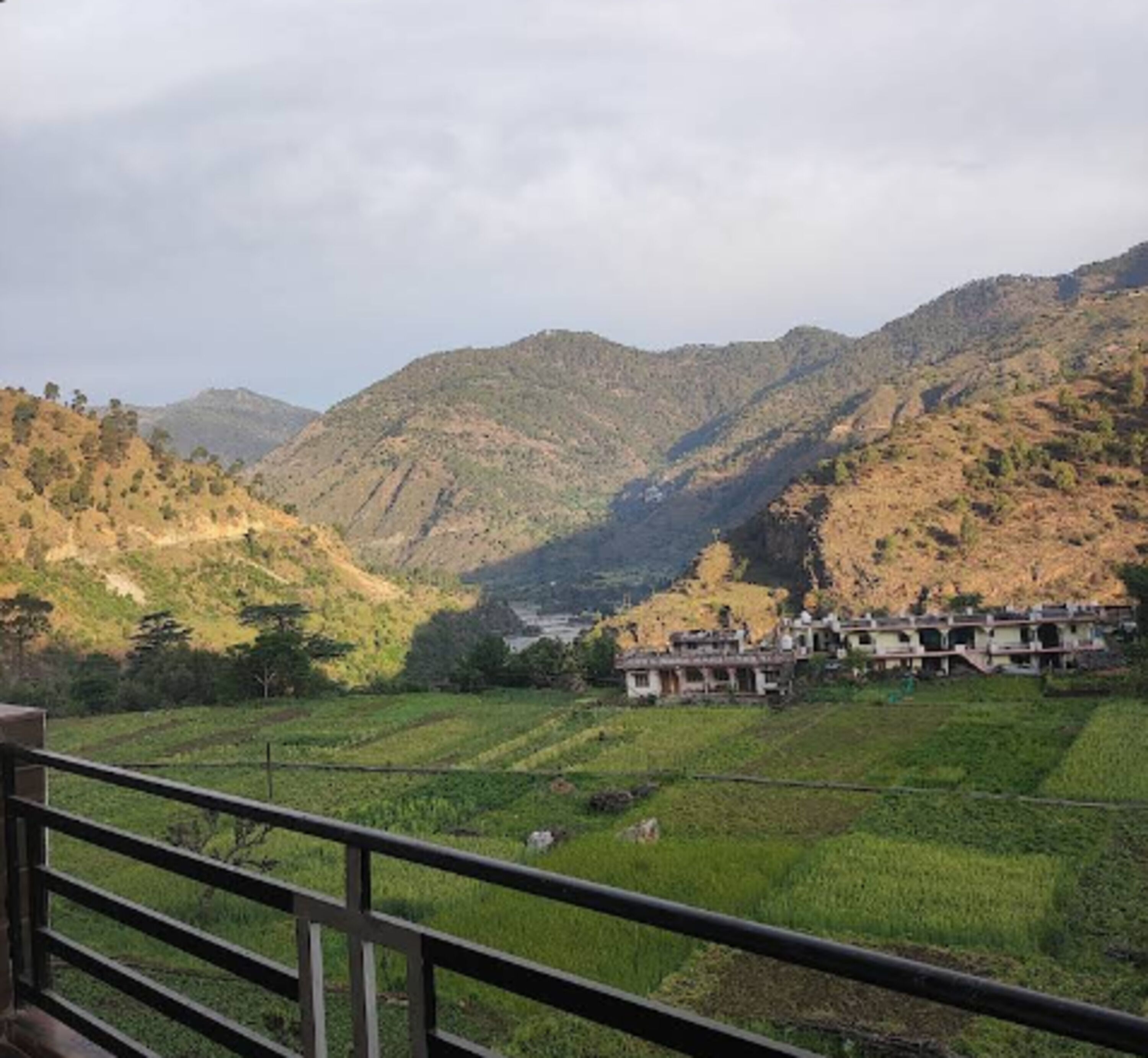 A rural landscape with terraced fields and a cluster of traditional buildings.