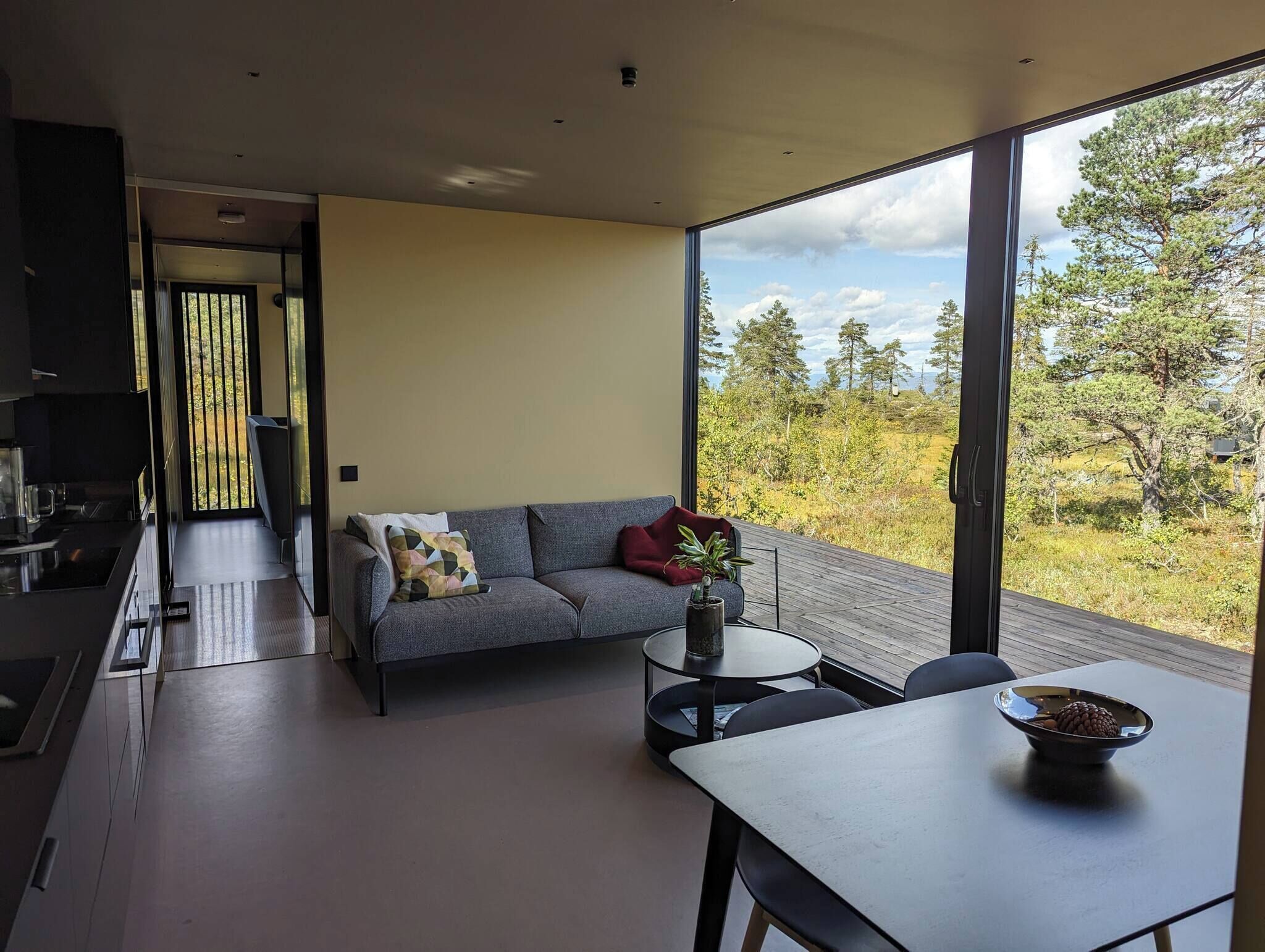 Cabin, 2 Bedrooms, Balcony, Mountain View | Living room | Books