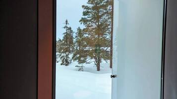Cabin, 2 Bedrooms, Balcony, Mountain View | Interior