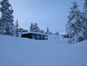 Cabin, 2 Bedrooms, Balcony, Mountain View | Exterior
