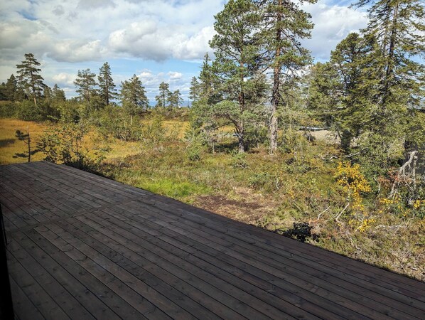 Cabin, 2 Bedrooms, Balcony, Mountain View | Terrace/patio