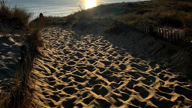 Un sentier de sable qui longe la plage et mène à l’océan, avec le soleil couchant à l’horizon.