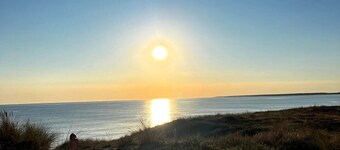 The Beautiful Star in the heart of the Pine Forest